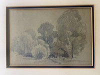 Original Pencil Drawing Sketch Trees by Earl A Warner Circa 1920s 1930s Fine Art