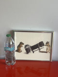 Taxidermy Chipmunk Photographers w/ Retro Camera Weird Anthropomorphic Photo FUN