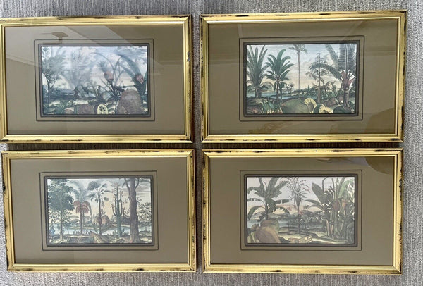 Exotic Botanical Engravings after Johannes Nieuhof 17th Century Framed Set of 4