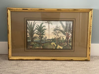 Exotic Botanical Engravings after Johannes Nieuhof 17th Century Framed Set of 4