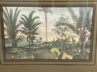 Exotic Botanical Engravings after Johannes Nieuhof 17th Century Framed Set of 4