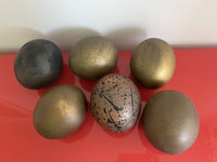 Hand Painted 6” Ostrich Egg Shells Contemporary Decor Set Of 6 Artist Signed