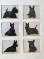 Terriers Dogs Melanie Phillips Framed Imperial Publishing Complete Set FRAMED