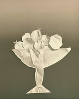 Yrjo Edelmann 1970s Hyperrealism Postmodern Lithograph Paper Apples 2D/3D YRJÖ