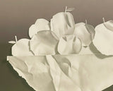 Yrjo Edelmann 1970s Hyperrealism Postmodern Lithograph Paper Apples 2D/3D YRJÖ