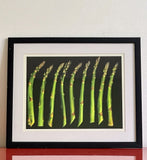 Asparagus Fine Art Photograph Photorealism Chef Kitchen Decor Vegetables Framed