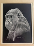 Intricate OOAK Art Gorilla Drawing On British Scrape Board Signed Wechsler 1979