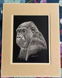 Intricate OOAK Art Gorilla Drawing On British Scrape Board Signed Wechsler 1979