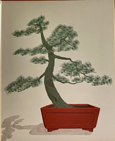 “Bonsai II” 80s 90s Era Fine Art Serigraph Modernist Illustration Graphic Signed
