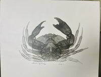 Signed & Numbered Vintage Crab Xray Photographic Art Print 1980 Koetsier Style