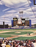 New York Mets Shea Stadium Matinee Photorealistic Limited Edition Lithograph NYC