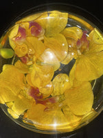 Emilio Robba 8” Orchids in “Illusion Water” Lucite Resin Bowl