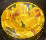 Emilio Robba 8” Orchids in “Illusion Water” Lucite Resin Bowl